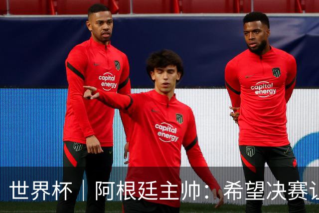 世界杯｜阿根廷主帅：希望决赛让所有人都能享受其中