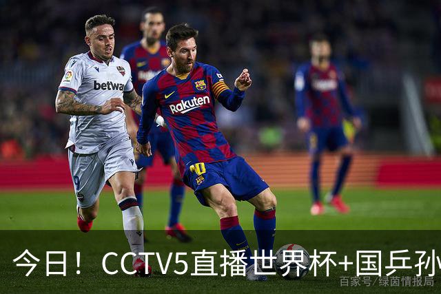 今日！CCTV5直播世界杯+国乒孙颖莎冲击冠军+中国男篮，5+转温网