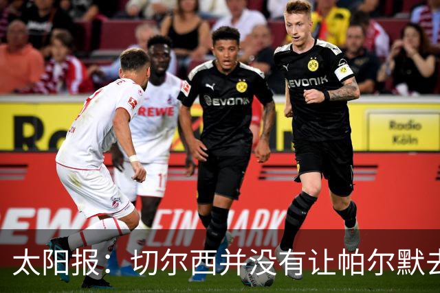 太阳报：切尔西并没有让帕尔默去游说罗杰斯，但两人感情很好