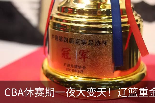 CBA休赛期一夜大变天！辽篮重金加入布朗抢夺大战，胡金秋报价虚高，最终或将有价无市无法转会