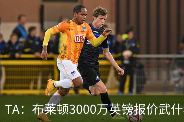 TA：布莱顿3000万英镑报价武什科维奇，财务状况可能迫使热刺放人